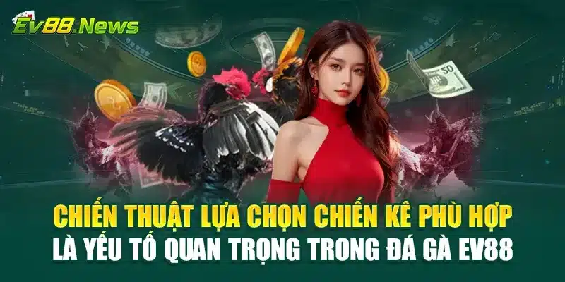 Chiến thuật lựa chọn chiến kê phù hợp là yếu tố quan trọng trong Đá Gà EV88